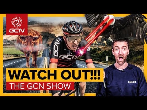 Beware! The Scariest Animals You Don’t Want To Meet Cycling! | GCN Show Ep. 506